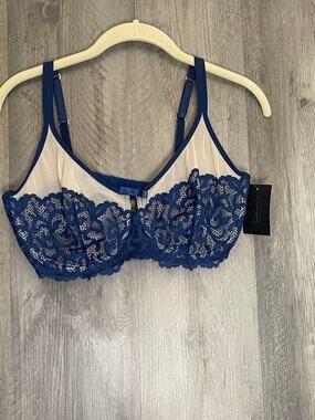 Frederick’s of Hollywood 36F (36DDD) Blue Lace Sheer Mesh Underwire Bra NWT